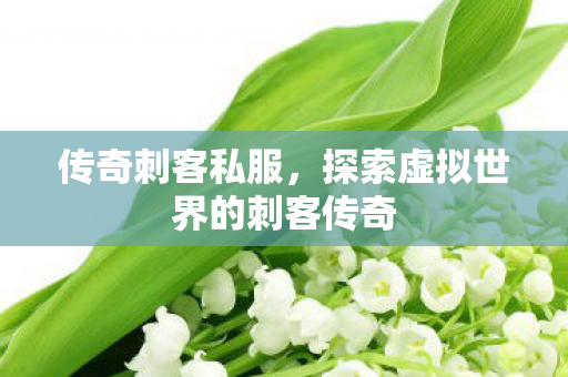 传奇刺客私服，探索虚拟世界的刺客传奇