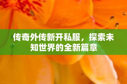 传奇外传新开私服，探索未知世界的全新篇章