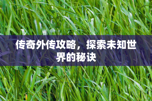 传奇外传攻略，探索未知世界的秘诀