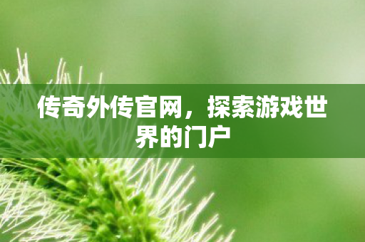 传奇外传官网，探索游戏世界的门户