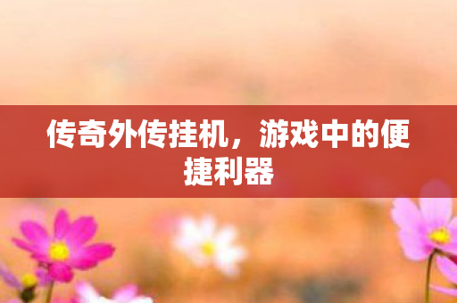 传奇外传挂机，游戏中的便捷利器