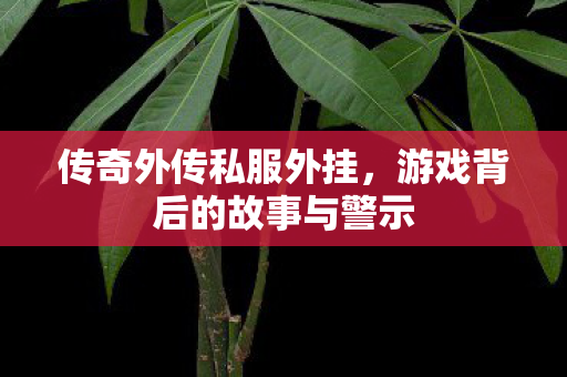 传奇外传私服外挂，游戏背后的故事与警示