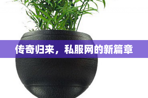 传奇归来，私服网的新篇章