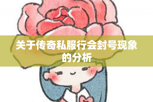 关于传奇私服行会封号现象的分析