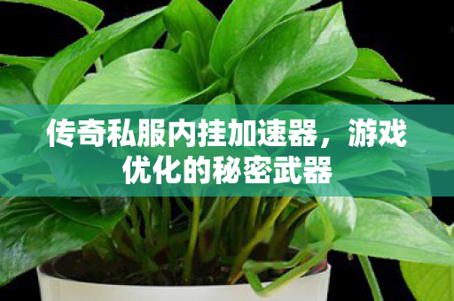 传奇私服内挂加速器,游戏优化的秘密武器 传奇私服内挂加速器,游戏优化的秘密武器