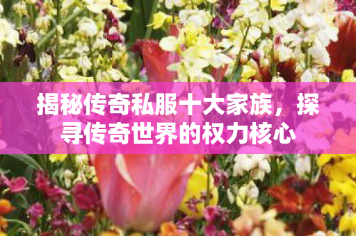 揭秘传奇私服十大家族,探寻传奇世界的权力核心 揭秘传奇私服十大家族,探寻传奇世界的权力核心