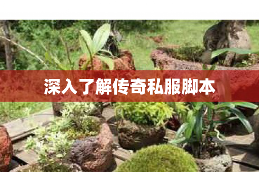 深入了解传奇私服脚本