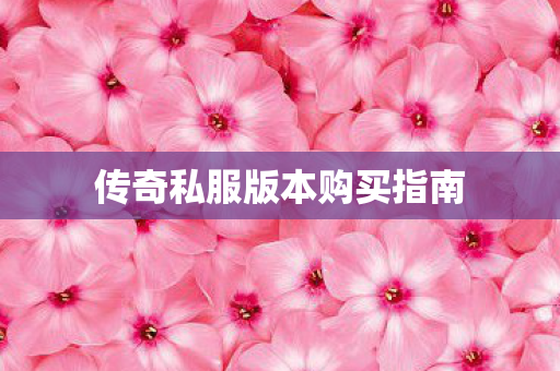 传奇私服版本购买指南