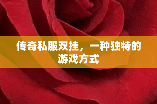 传奇私服双挂，一种独特的游戏方式