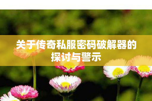 关于传奇私服密码破解器的探讨与警示