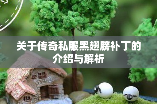 关于传奇私服黑翅膀补丁的介绍与解析