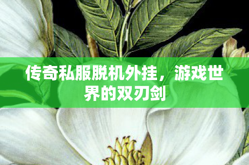 传奇私服脱机外挂，游戏世界的双刃剑