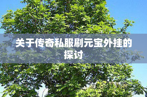 关于传奇私服刷元宝外挂的探讨 关于传奇私服刷元宝外挂的探讨