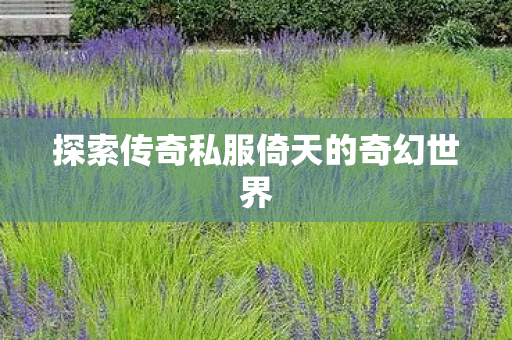 探索传奇私服倚天的奇幻世界 探索传奇私服倚天的奇幻世界