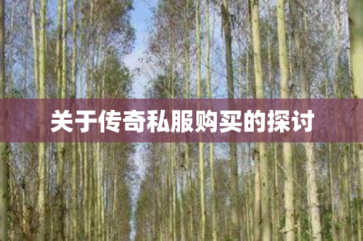 关于传奇私服购买的探讨 关于传奇私服购买的探讨