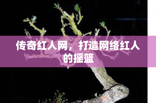 传奇红人网，打造网络红人的摇篮