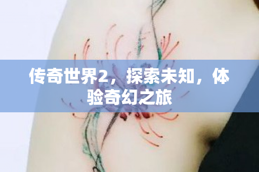 传奇世界2，探索未知，体验奇幻之旅