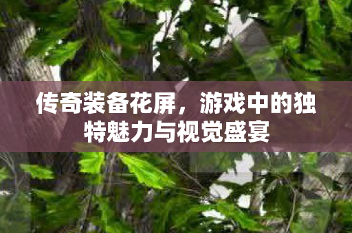 传奇装备花屏,游戏中的独特魅力与视觉盛宴 传奇装备花屏,游戏中的独特魅力与视觉盛宴
