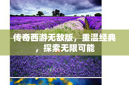 传奇西游无敌版，重温经典，探索无限可能