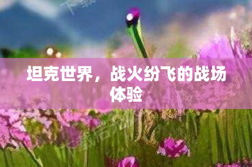 坦克世界，战火纷飞的战场体验