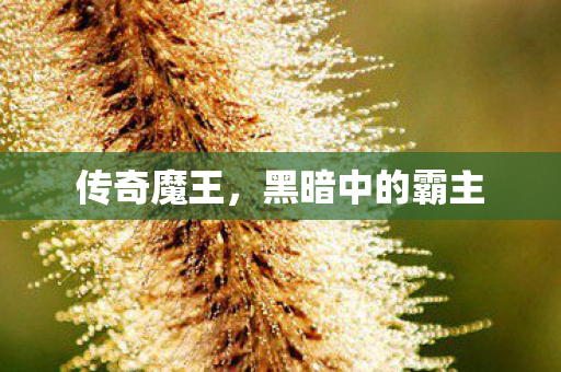 传奇魔王,黑暗中的霸主 传奇魔王,黑暗中的霸主