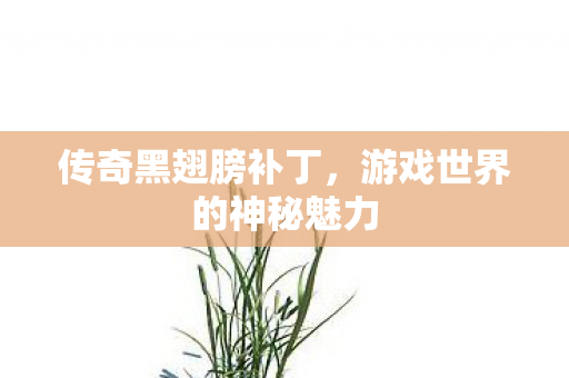 传奇黑翅膀补丁，游戏世界的神秘魅力