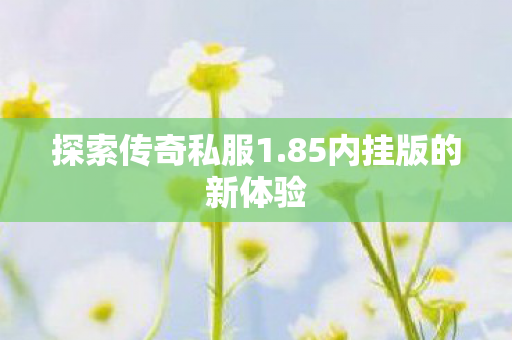 探索传奇私服1.85内挂版的新体验 探索传奇私服1.85内挂版的新体验