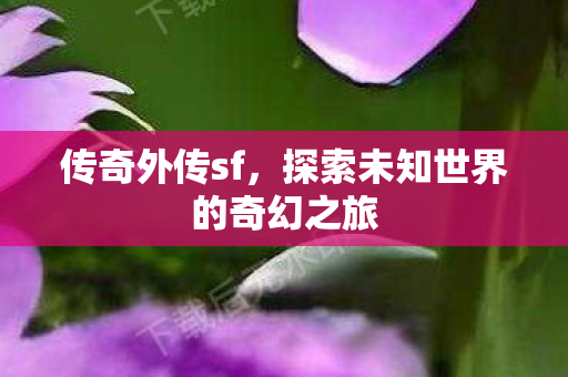传奇外传sf，探索未知世界的奇幻之旅