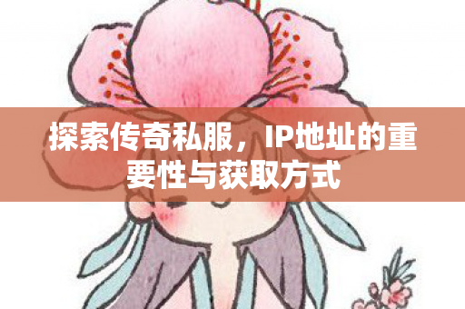 探索传奇私服，IP地址的重要性与获取方式