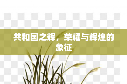 共和国之辉，荣耀与辉煌的象征