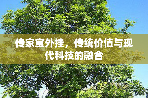 传家宝外挂,传统价值与现代科技的融合 传家宝外挂,传统价值与现代科技的融合