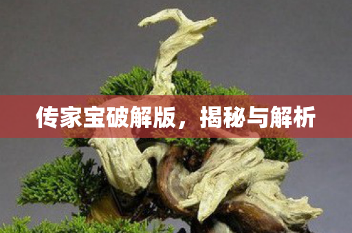 传家宝破解版，揭秘与解析