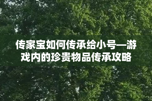 传家宝如何传承给小号—游戏内的珍贵物品传承攻略