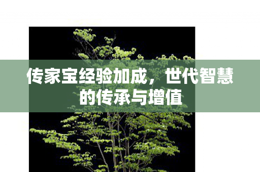传家宝经验加成，世代智慧的传承与增值