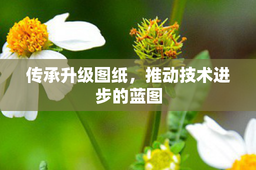 传承升级图纸，推动技术进步的蓝图