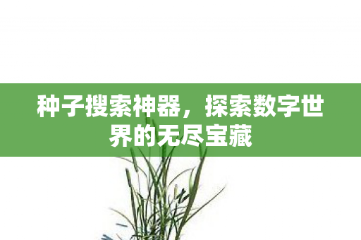 种子搜索神器，探索数字世界的无尽宝藏