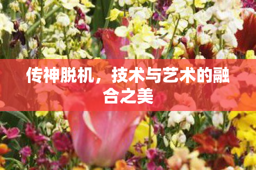 传神脱机,技术与艺术的融合之美 传神脱机,技术与艺术的融合之美