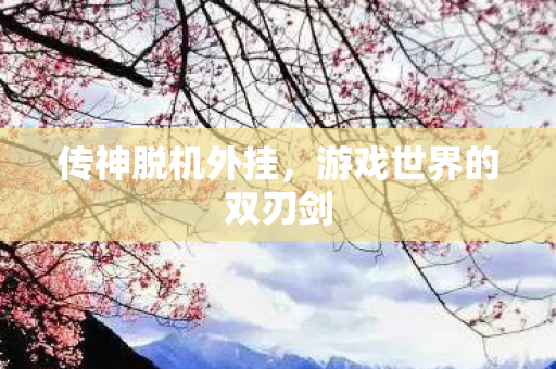 传神脱机外挂，游戏世界的双刃剑