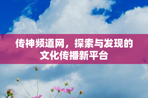 传神频道网，探索与发现的文化传播新平台