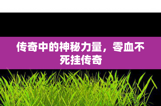 传奇中的神秘力量，零血不死挂传奇