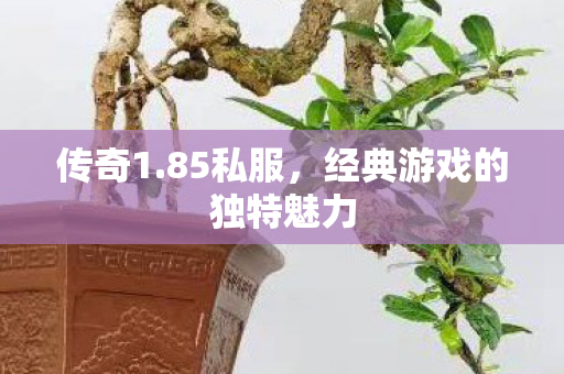 传奇1.85私服，经典游戏的独特魅力