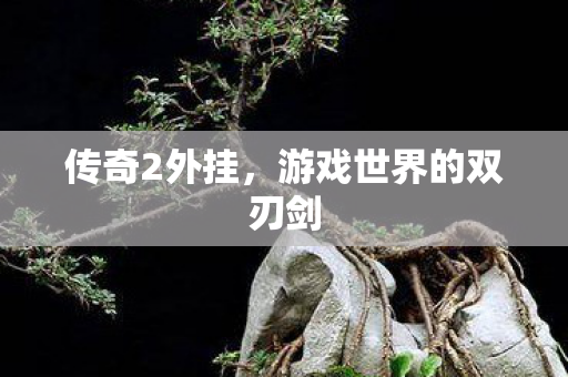 传奇2外挂，游戏世界的双刃剑