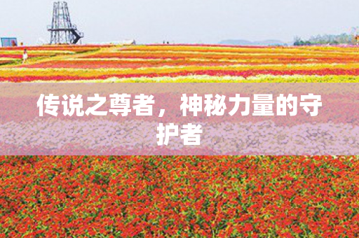 传说之尊者，神秘力量的守护者