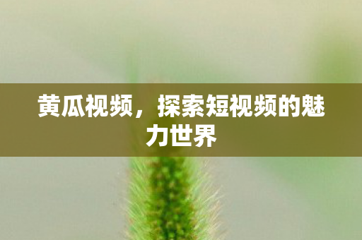 黄瓜视频，探索短视频的魅力世界