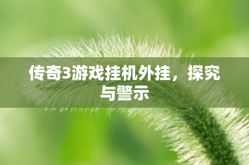 传奇3游戏挂机外挂,探究与警示 传奇3游戏挂机外挂,探究与警示