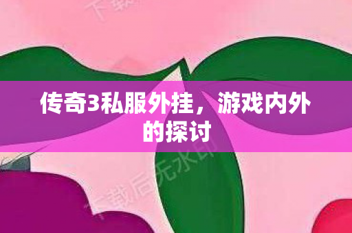 传奇3私服外挂，游戏内外的探讨