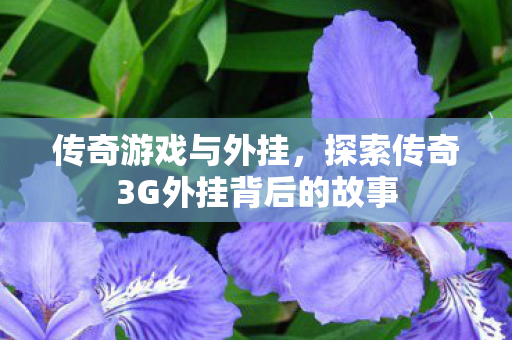 传奇游戏与外挂,探索传奇3G外挂背后的故事 传奇游戏与外挂,探索传奇3G外挂背后的故事