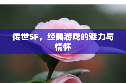传世SF，经典游戏的魅力与情怀