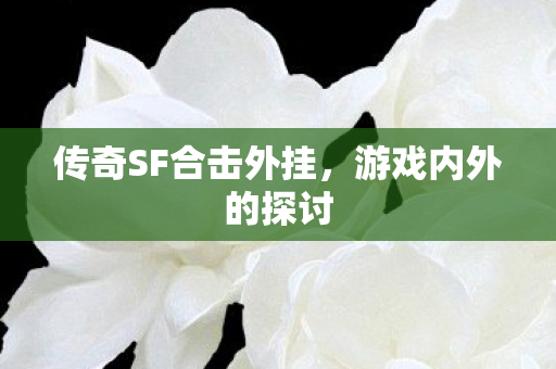 传奇SF合击外挂,游戏内外的探讨 传奇SF合击外挂,游戏内外的探讨