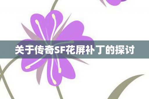 关于传奇SF花屏补丁的探讨 关于传奇SF花屏补丁的探讨